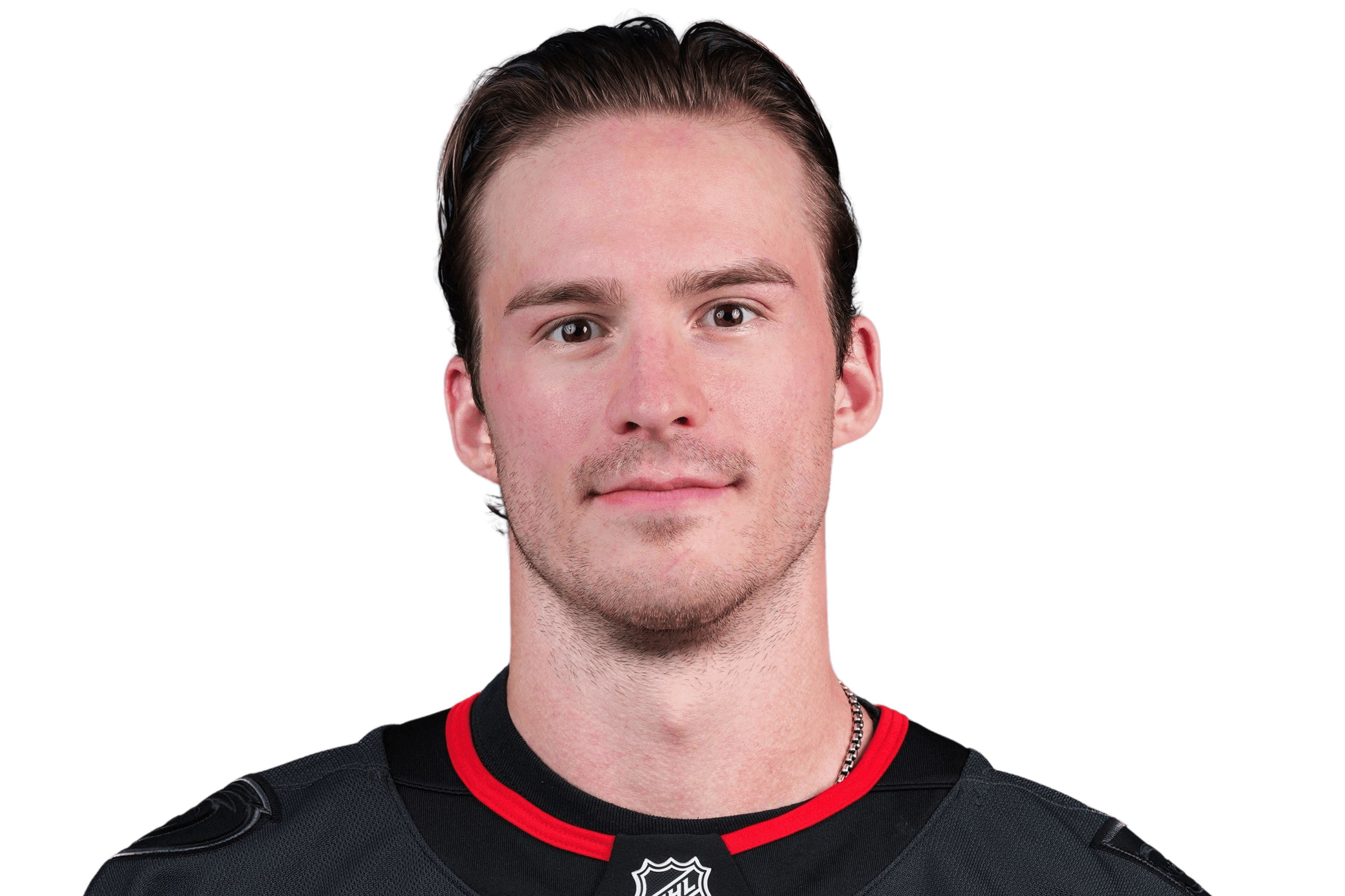 Andrei Svechnikov